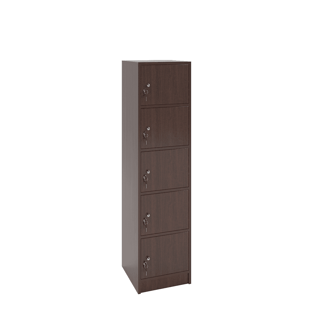 Dulap vestiar elevi 5 casete (1x5) 400x420x1600, Wenge