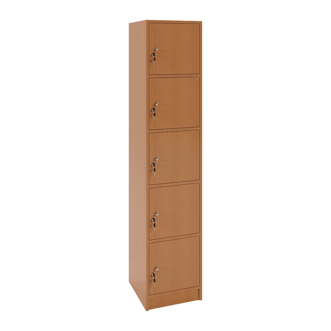 Dulap vestiar elevi 5 casete (1x5) 400x420x1900, Cireș