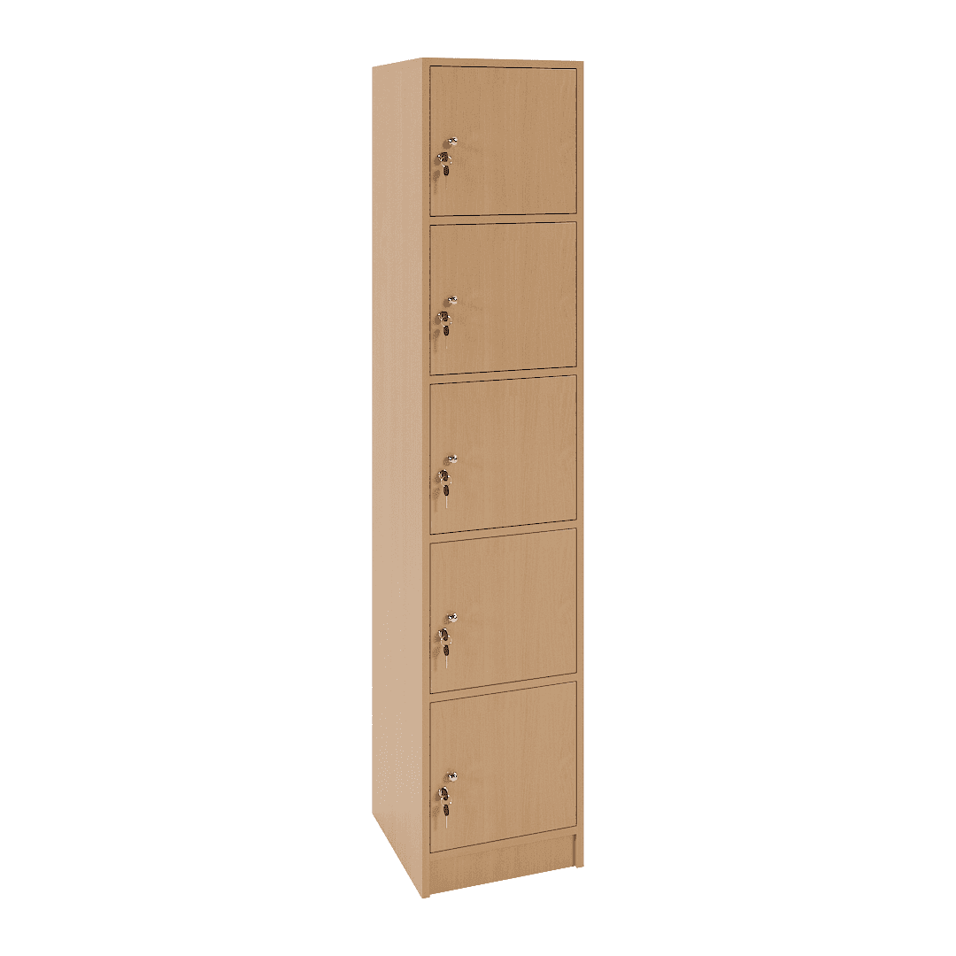 Dulap vestiar elevi 5 casete (1x5) 400x420x1900