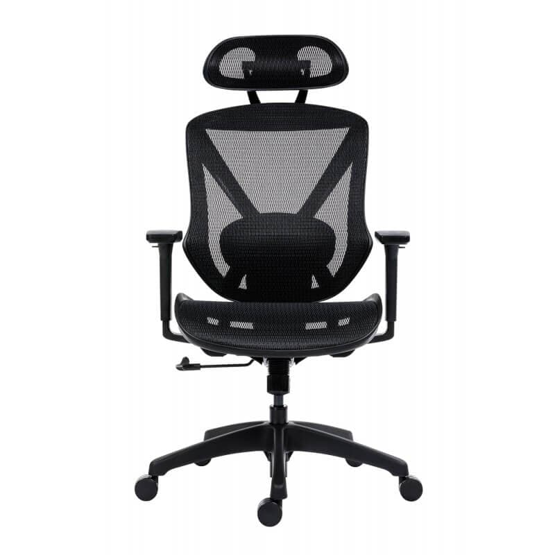 Scaun ergonomic rotativ Aero Pro mesh - imaginea 2