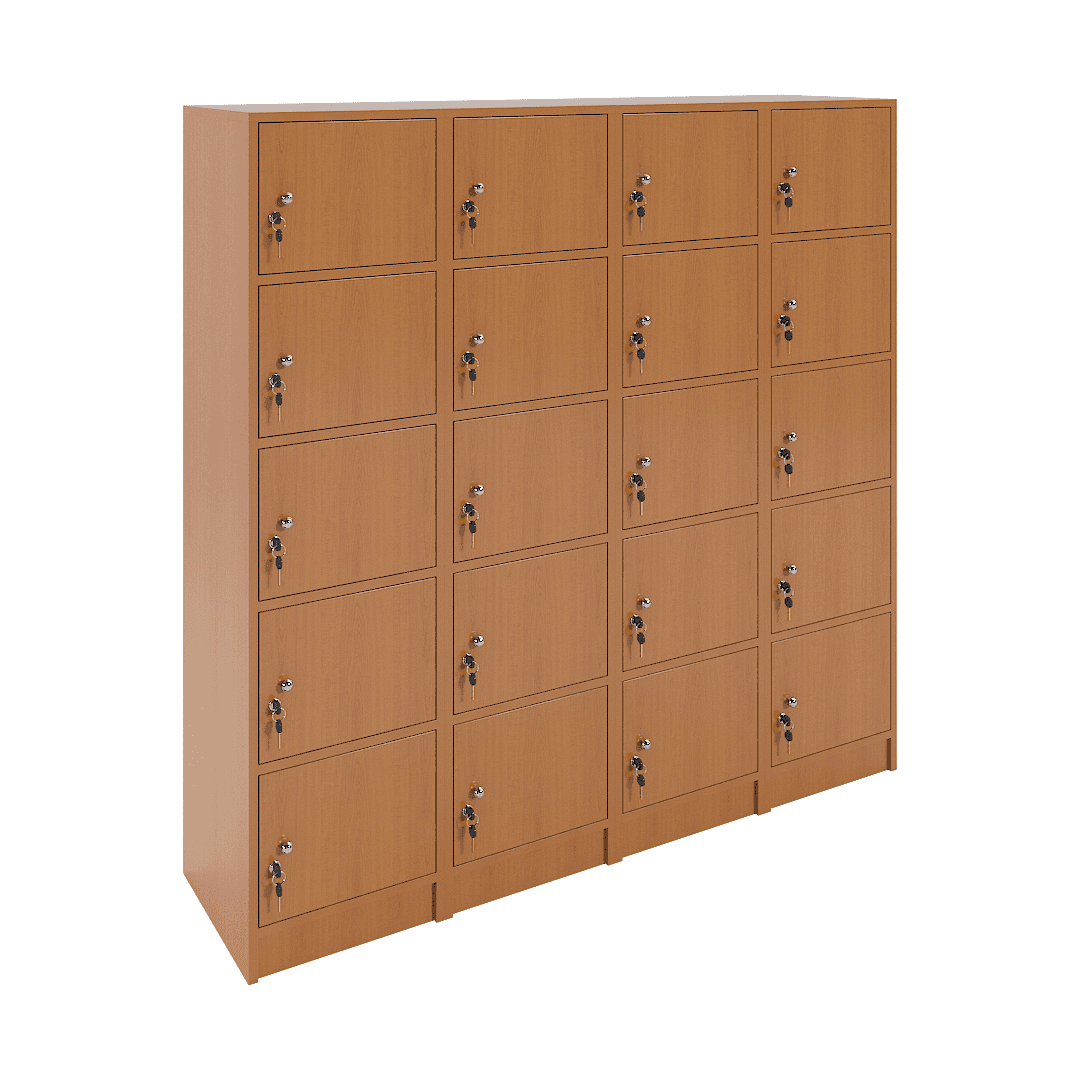 Set dulapuri vestiar elevi 20 casete (4x5) 1600x420x1600, Cireș